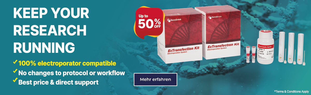 ExTransfection Kit